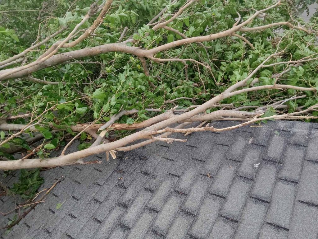 tree fell on a roof. emergency tree service in kansas provided by jd and sons tree service