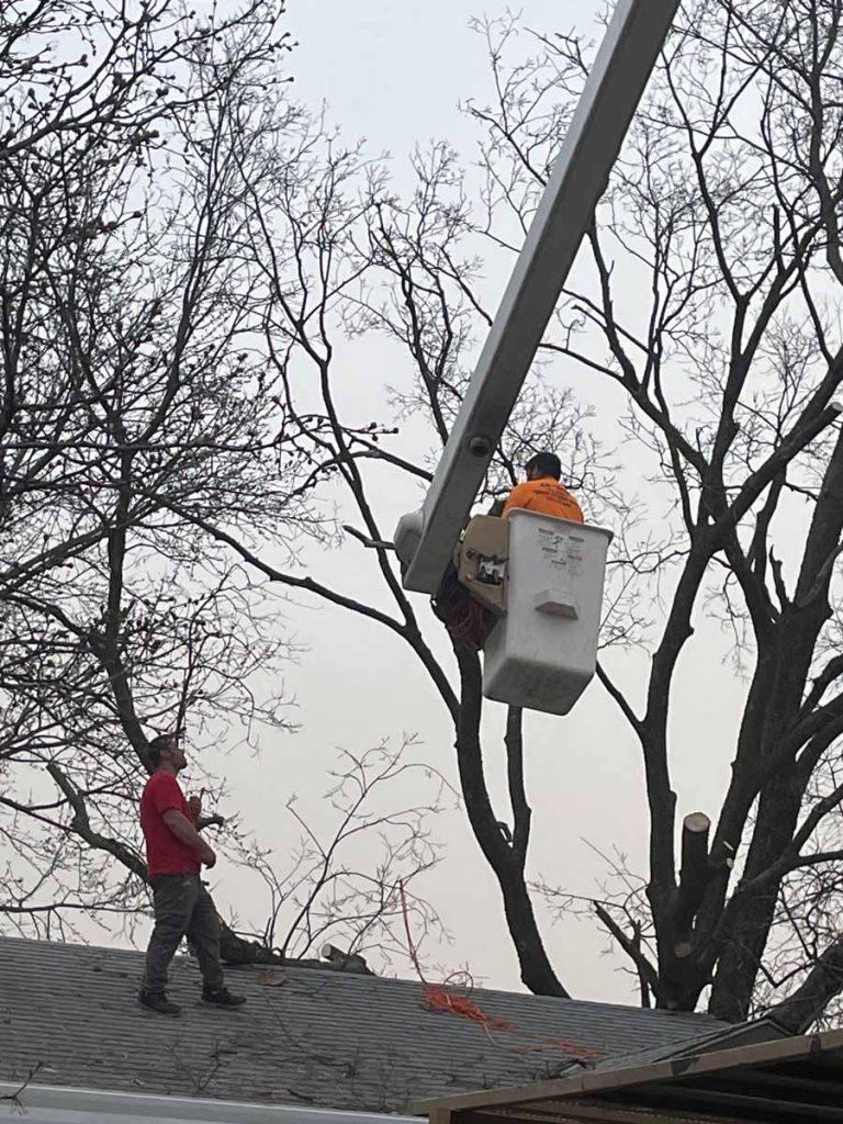 workman on bucket